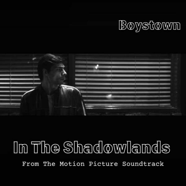 Cover art for In the Shadowlands